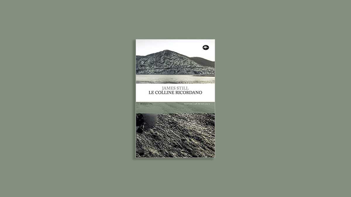 Immagine di Le colline ricordano