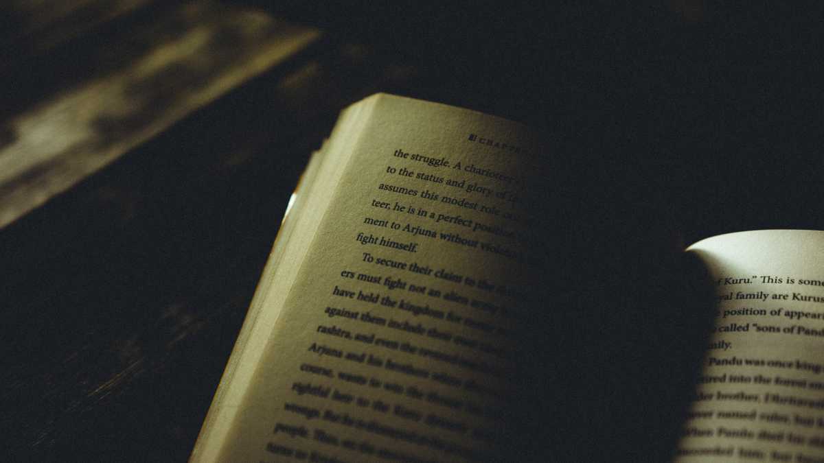 Immagine di Il mestiere dell'ombra