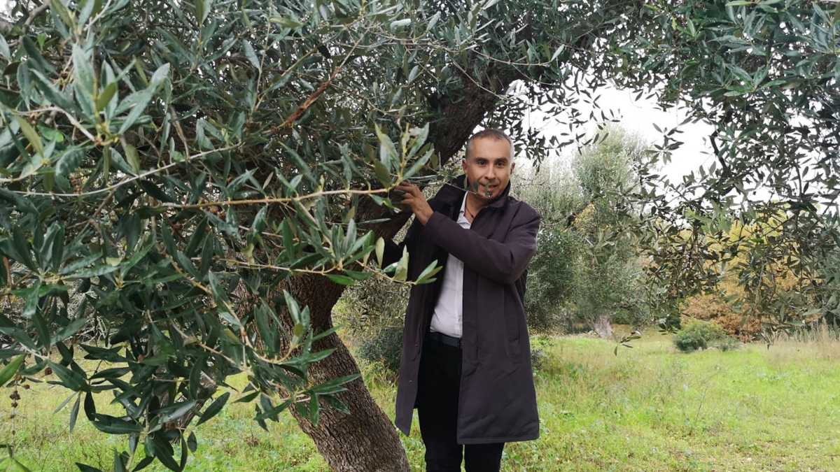 Immagine di Chi è Ciampolillo, l’eroe “Xylella e sapone” che ha salvato Conte