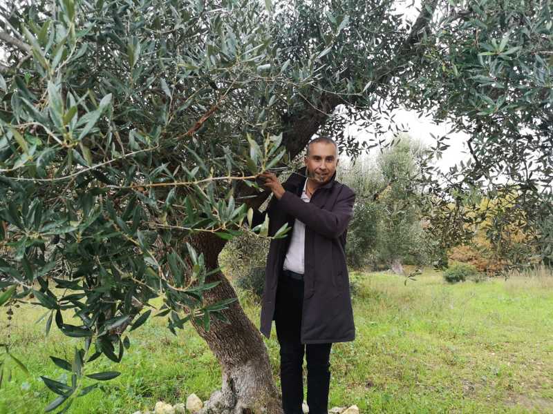 Chi è Ciampolillo, l’eroe “Xylella e sapone” che ha salvato Conte