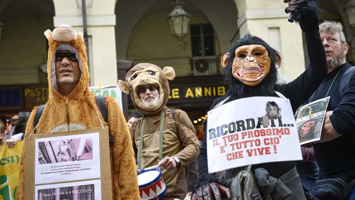 Immagine di Il caso LightUp tra scienza e magistratura: “Ofelè fa el to mesté!”