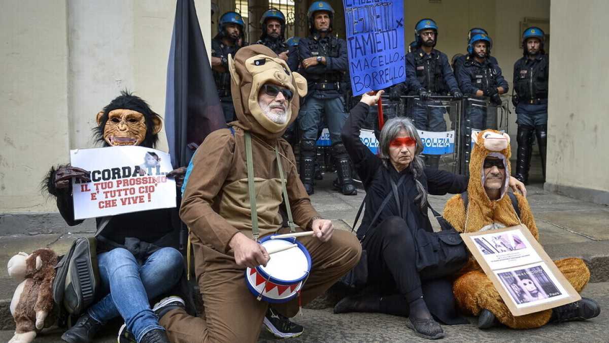 Immagine di Via libera al progetto Light-Up. Il Consiglio di Stato boccia il ricorso della Lav