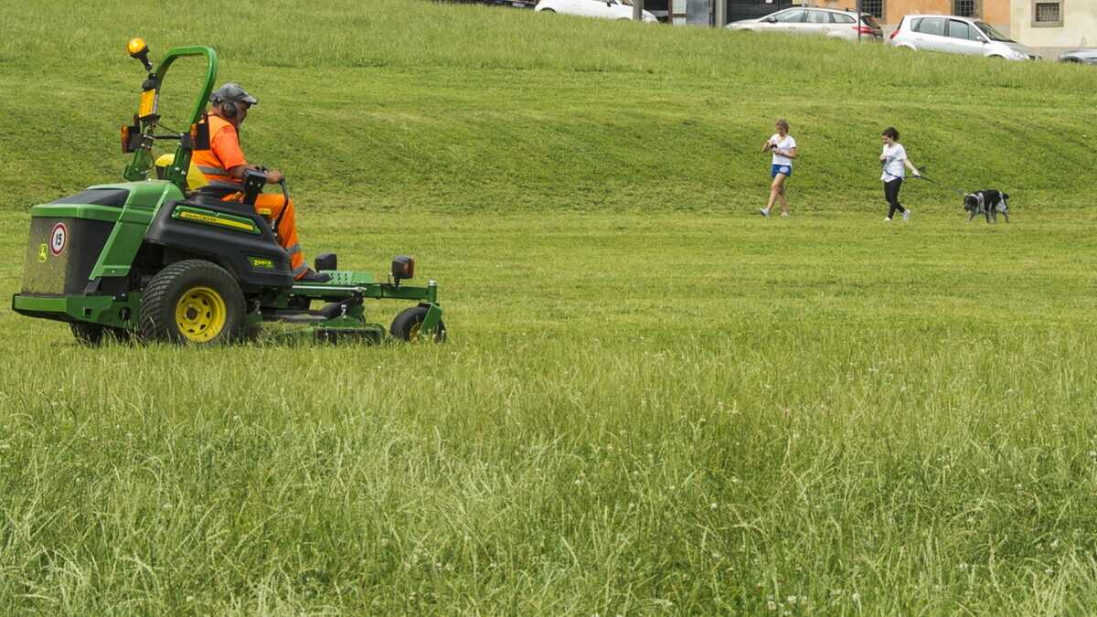 Immagine di Schiavi di pubblica utilità
