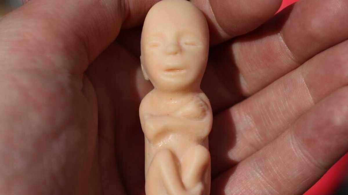 Immagine di Se l’aborto scandalizza meno della distruzione dei pulcini maschi