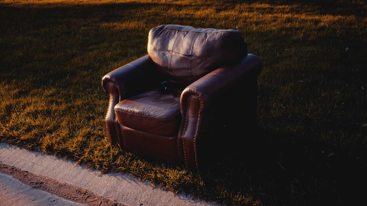 Immagine di La televisione fa estinguere le poltrone