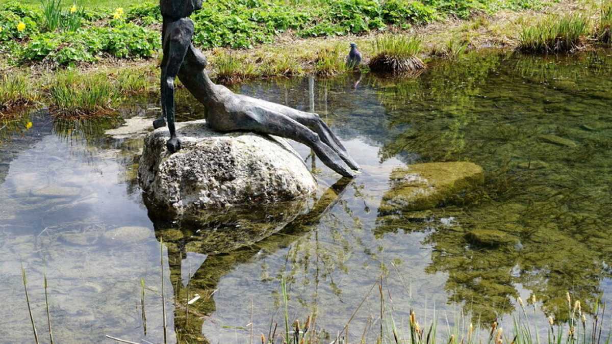 Immagine di Troppe donne muoiono per problemi alimentari. Idee per prevenire questi disturbi