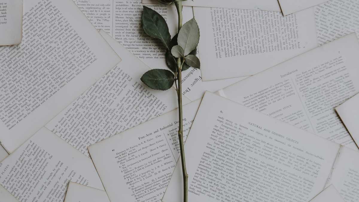 Immagine di Aforismi sull'amore, di un certo livello
