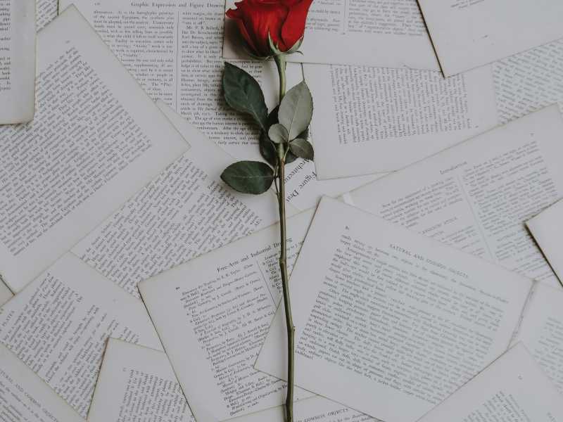 <span class="gwt-InlineHTML kpm3-ContentLabel">Foto: Annie Spratt</span>