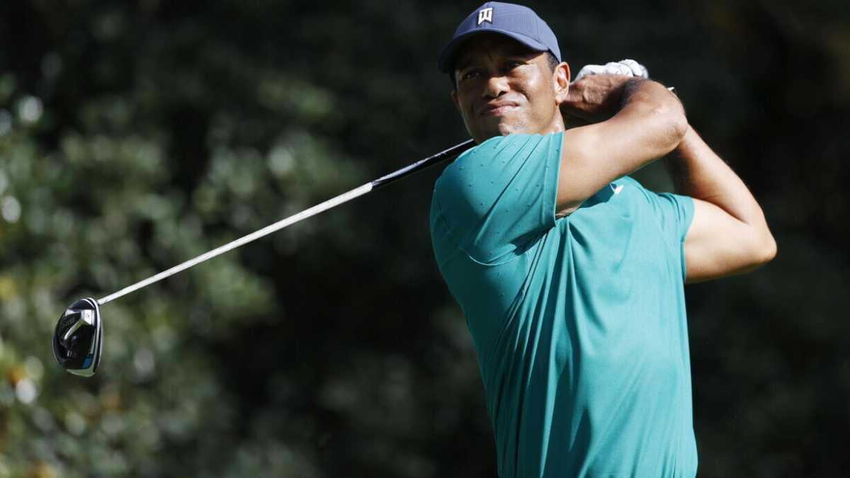 Immagine di Colpiscila ancora, Tiger Woods