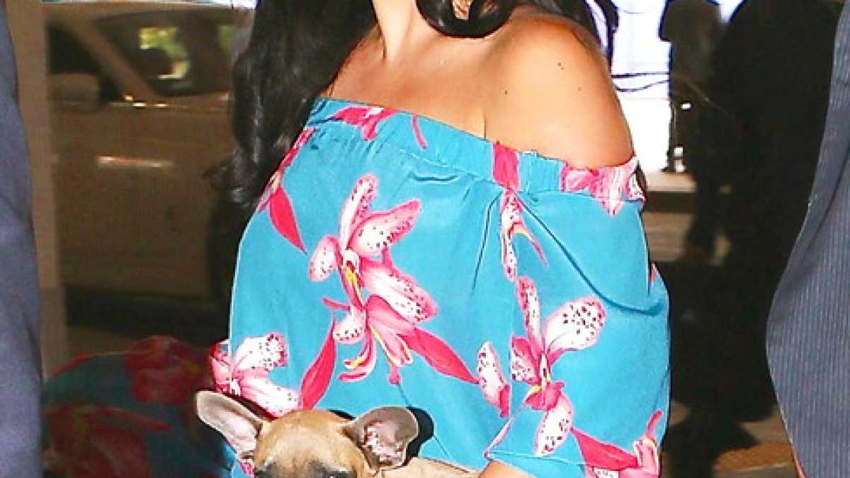 Immagine di Che noia i cani di Lady Gaga
