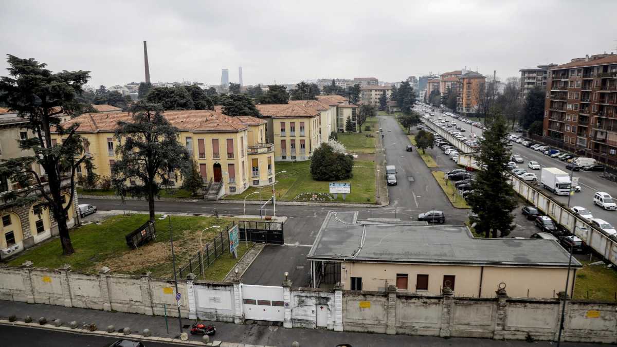 Immagine di La città degli zanza