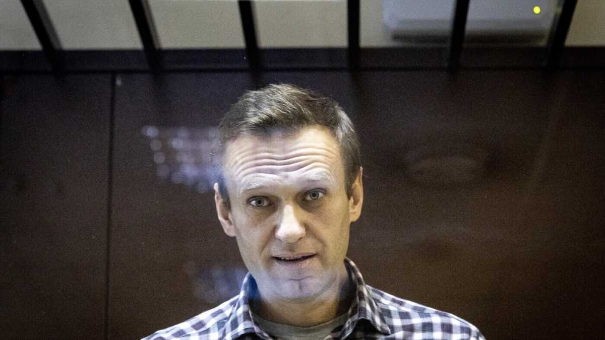 Immagine di Denudare e cancellare Navalny