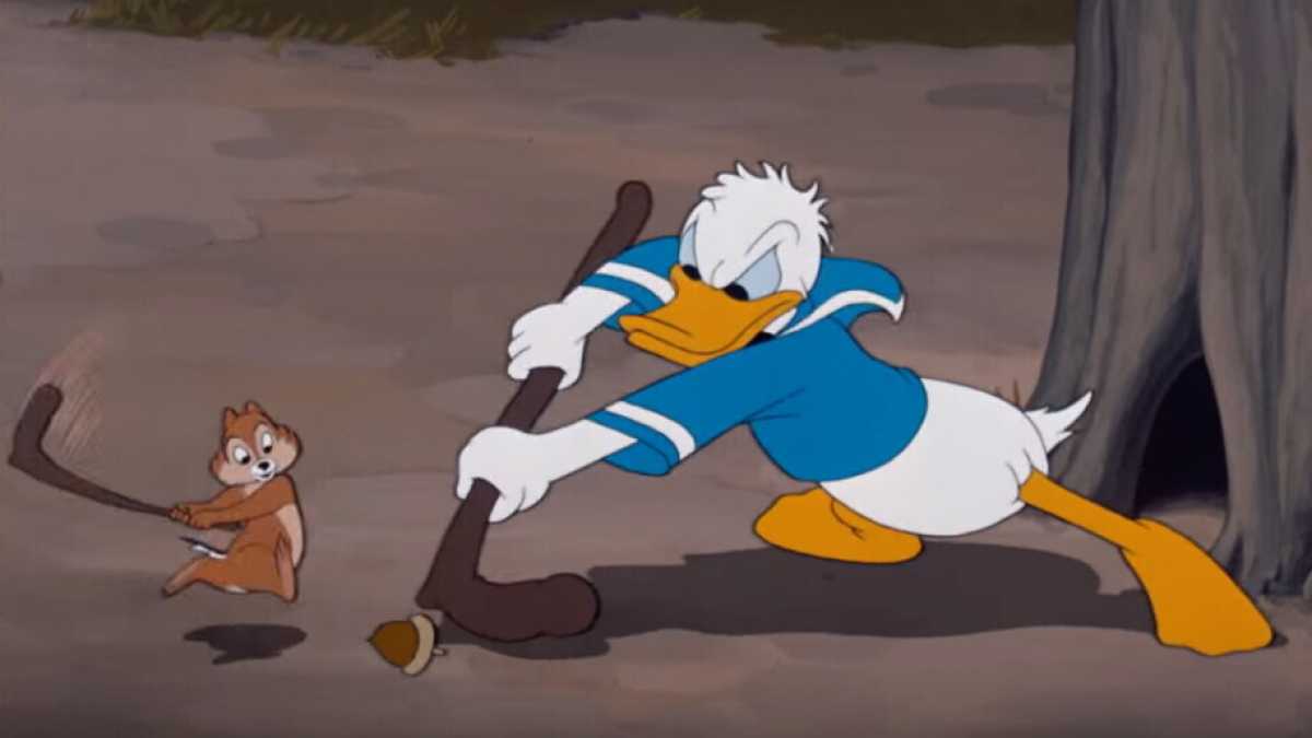 Immagine di Usi impropri delle ghiande