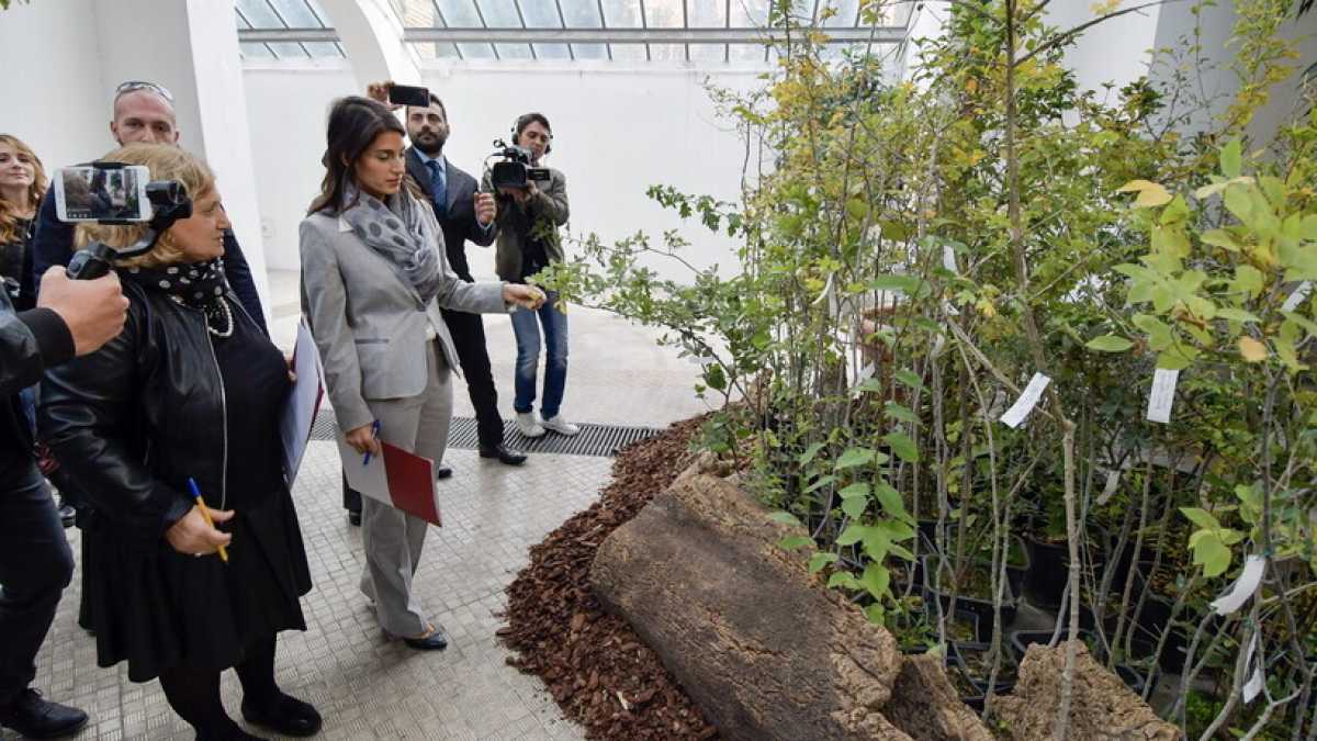 Immagine di Raggi vuole riforestare Roma
