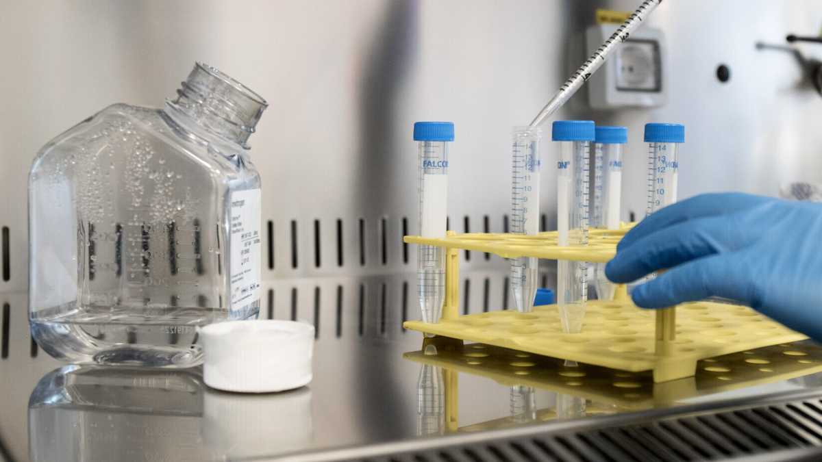 Immagine di Le pericolose relazioni fra politici e scienziati svelate dal Covid