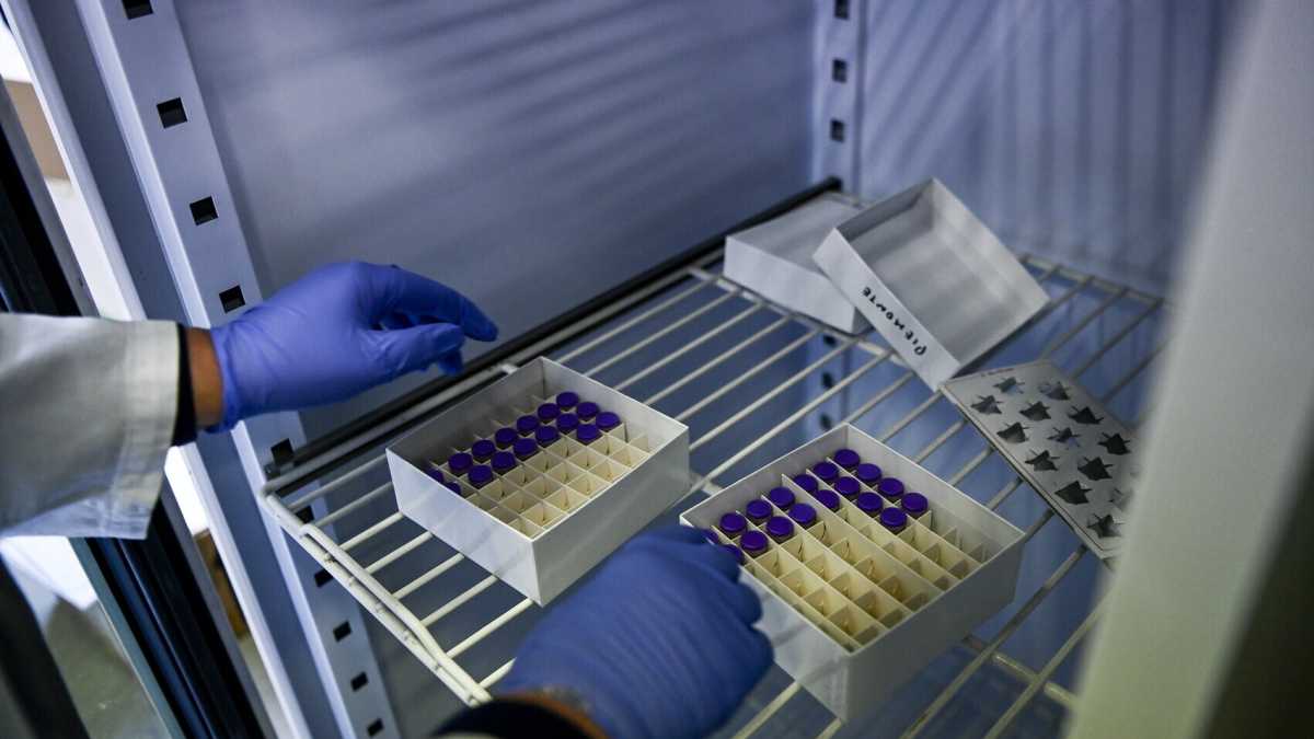 Immagine di Ripartire si può