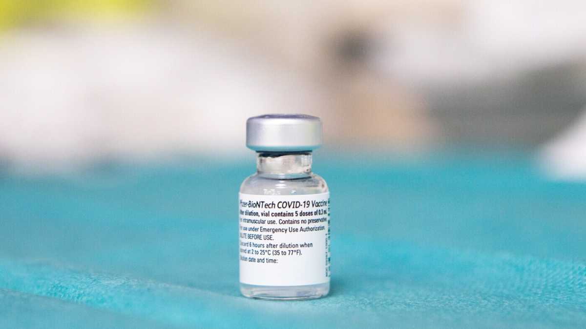 Immagine di Il magistrato che indaga sui vaccini è si vax "È l'isteria l'altro morbo"