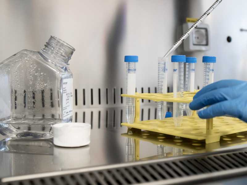 Le pericolose relazioni fra politici e scienziati svelate dal Covid