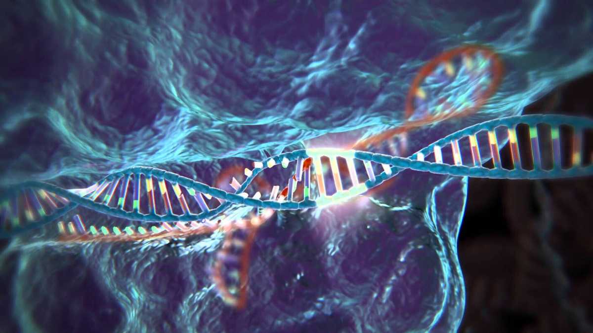Immagine di “Perché non creare bambini con gli occhi azzurri?”. I pericoli dell’editing del Dna
