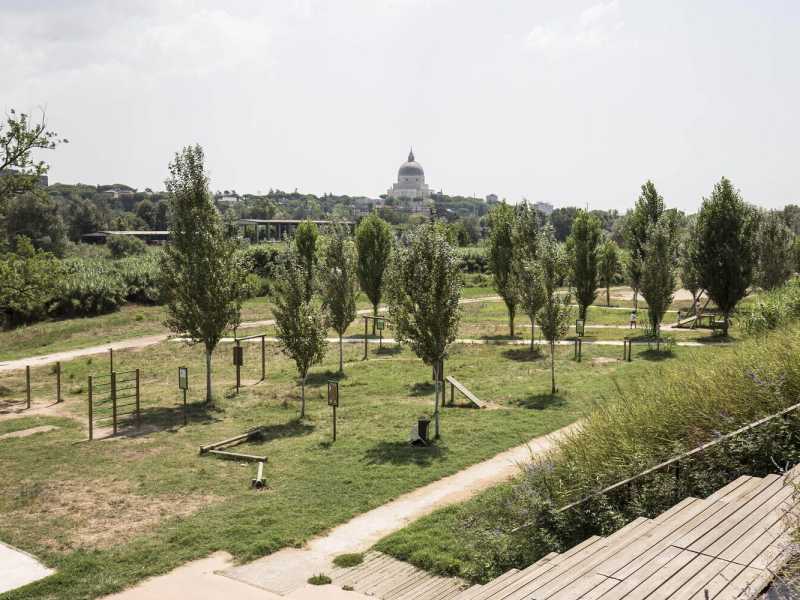 Parco fluviale della Magliana (foto LaPresse)