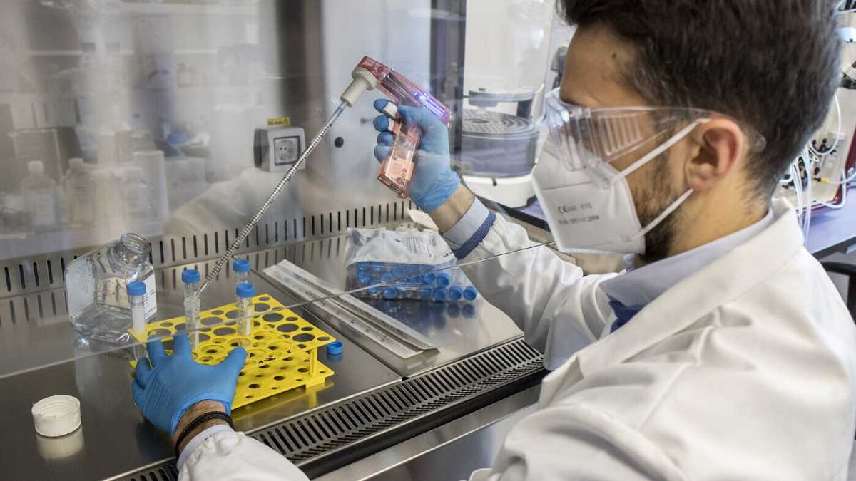 Immagine di In ricerca uno non vale uno. Perché serve una riforma del sistema degli IRCCS