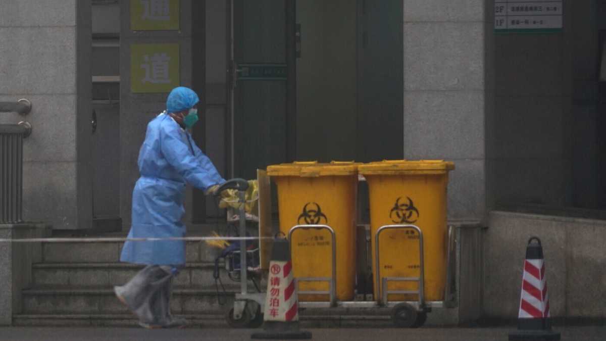 Immagine di Per l'Oms l'origine della pandemia è ancora un mistero