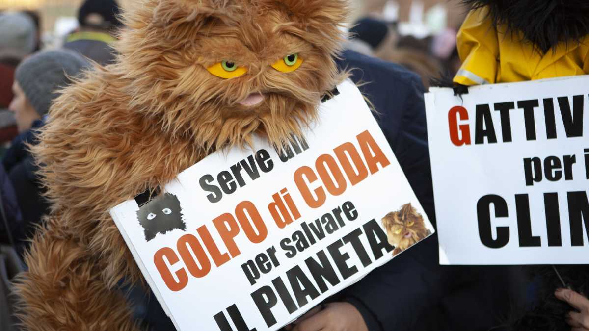 Immagine di Lezioni di scienze naturali contro il riscaldamento globale