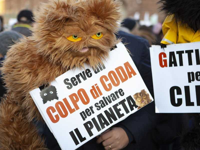 Manifestazione&nbsp;Friday For Future in Piazza Castello a Torino, dicembre 2019 (LaPresse)<br />