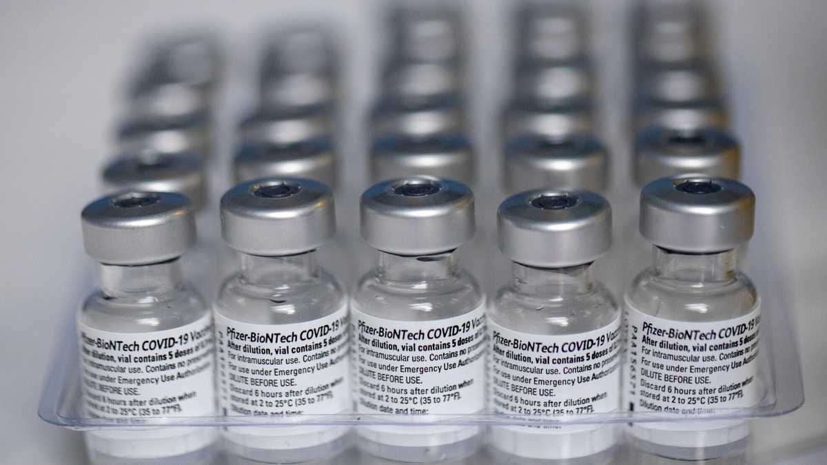 Immagine di L'Italia ha acquistato oltre 600mila dosi in meno di Pfizer rispetto a quanto avrebbe potuto
