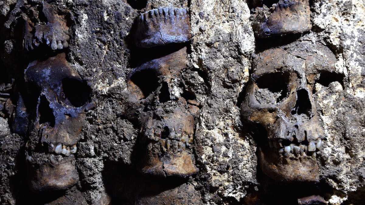 Immagine di Contro natura e resilienza, un “Trattato della buona estinzione”