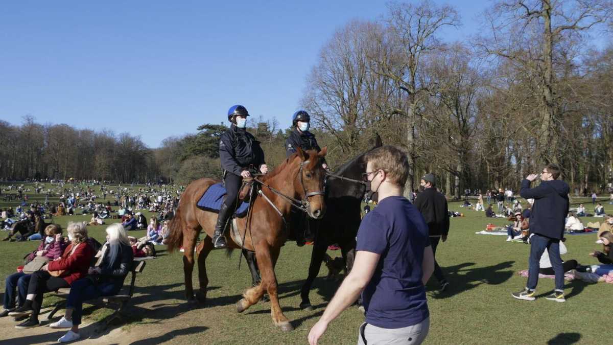 Immagine di Il più bel pesce d’aprile della nostra voglia di felicità
