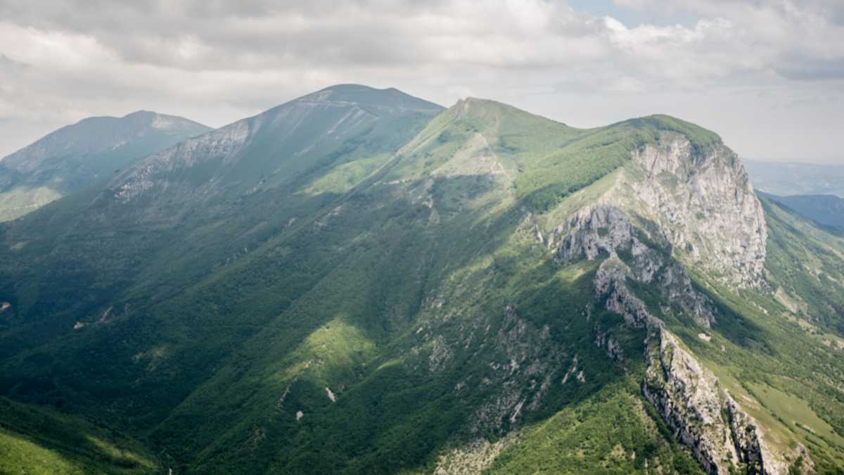 Immagine di Il virus, o la natura velenosa non soggiogata dall’uomo. Ancora per poco