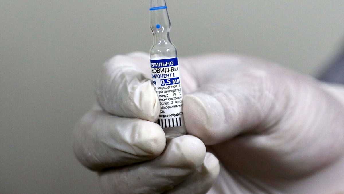 Immagine di Perché Sputnik e AZ sono deboli contro la variante sudafricana