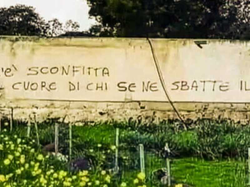 (foto dal profilo Twitter di Andrea Coltro)