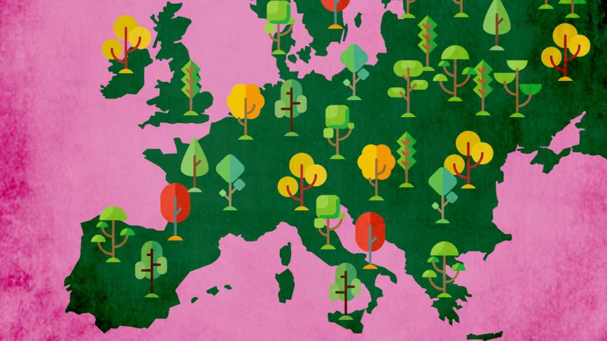 Immagine di La tonalità di verde che va più forte in Europa