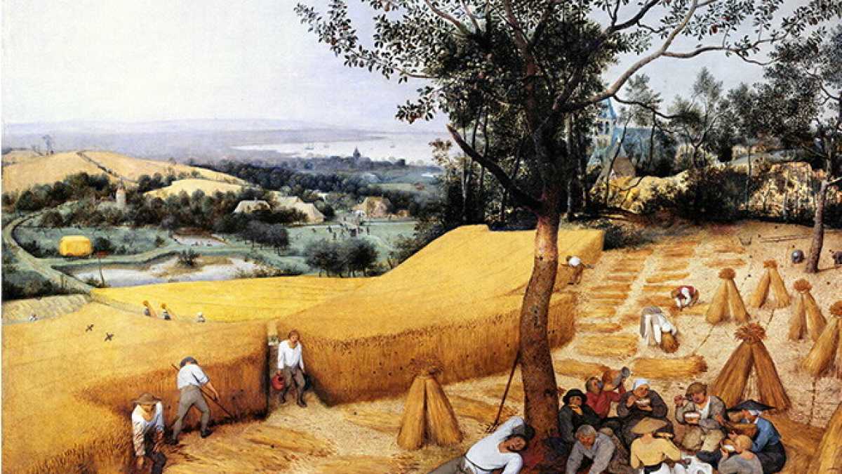 Immagine di Sabato e domenica nel Foglio. Che cosa c'è nell'inserto del fine settimana