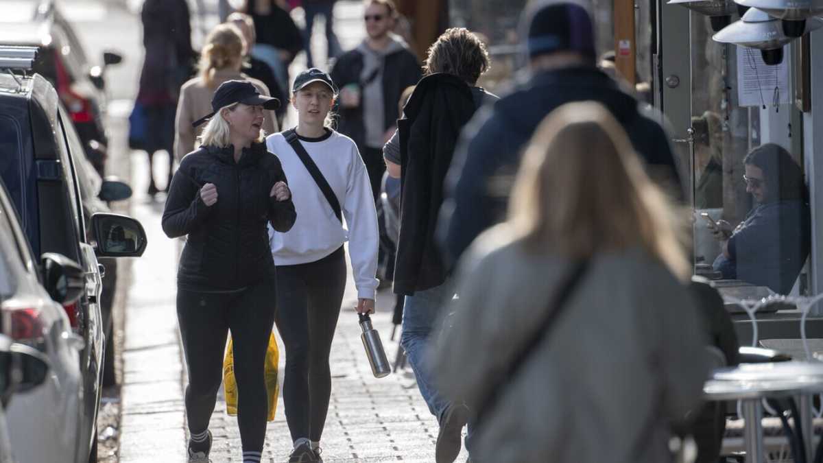 Immagine di Un libro ci spiega perché non capiamo un accidente dell’eccezione svedese