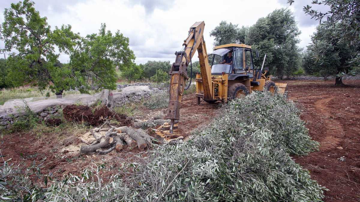 Immagine di Contro i fake: la lotta della scienza che esce dalla torre d’avorio
