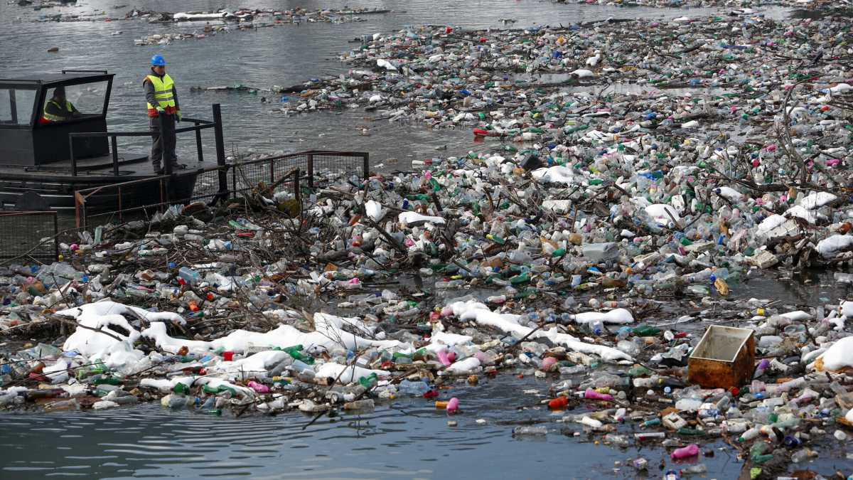 Immagine di L'ecologia dei ricchi