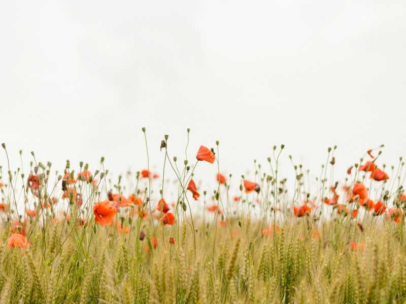 Photo by Henry Be on Unsplash <br />