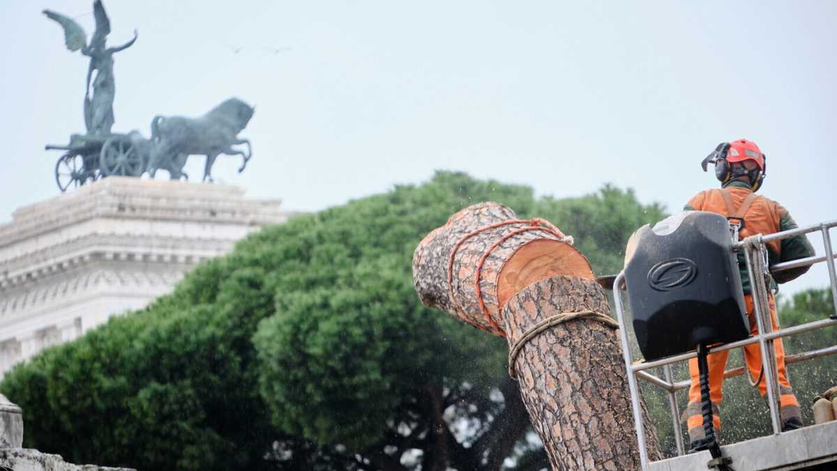Immagine di Roma è una città piena di tronchi mozzati