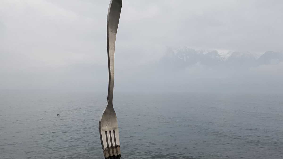 Immagine di Che fine hanno fatto i ceppi con il forchettone?