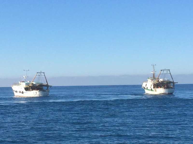 ANSA/ UFFICIO STAMPA DISTRETTO DELLA PESCA