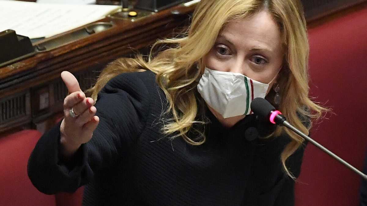 Immagine di Meloni sfoglia la margherita a Roma, il suo giardino: ora punta sull'economista Piga