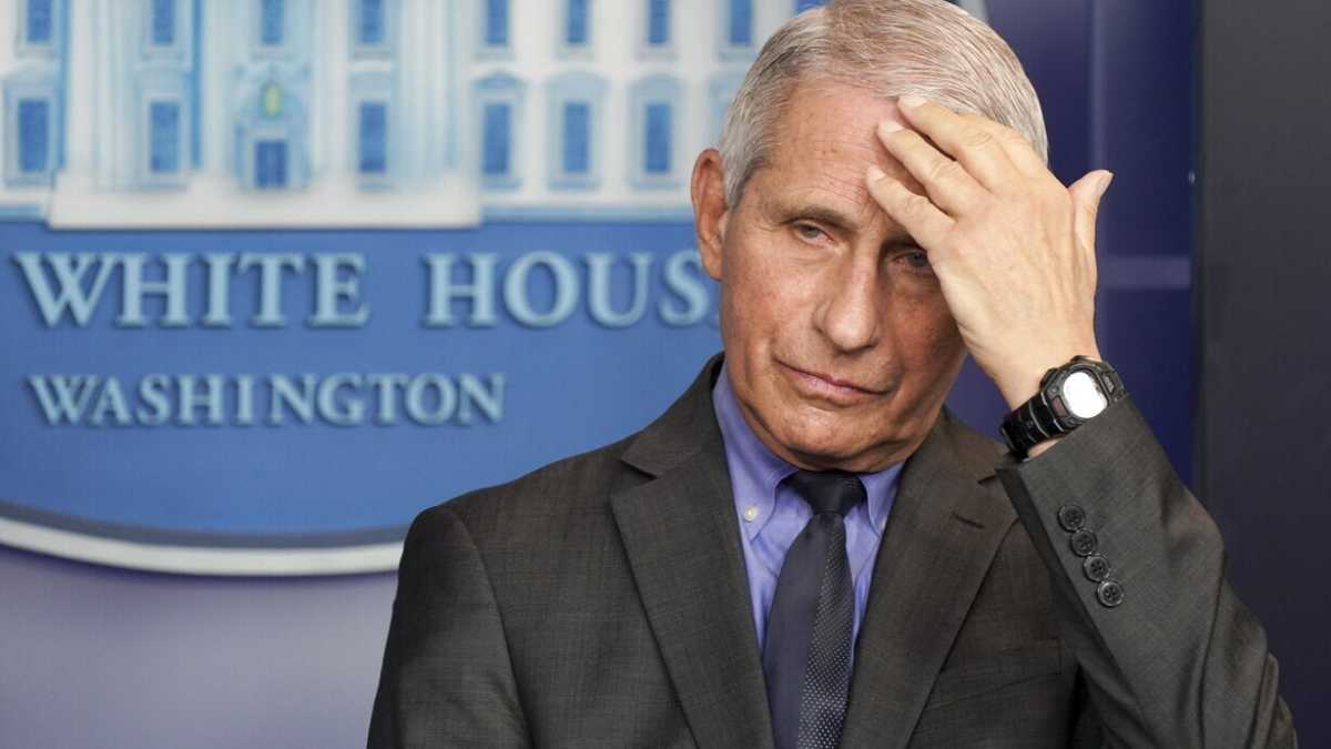 Immagine di La teoria del coronavirus creato in laboratorio e le dichiarazioni di Fauci (che lasciano il segno)