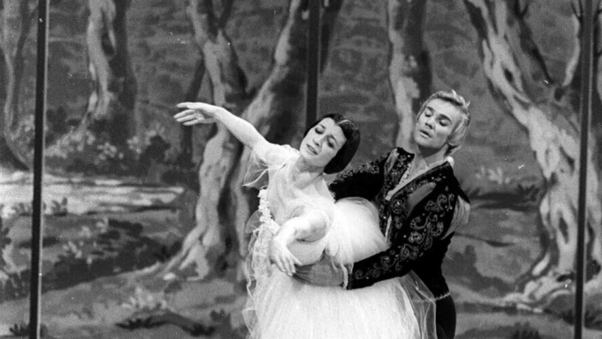 Immagine di "Sorridi, non si deve vedere la fatica". La legge universale delle ballerine