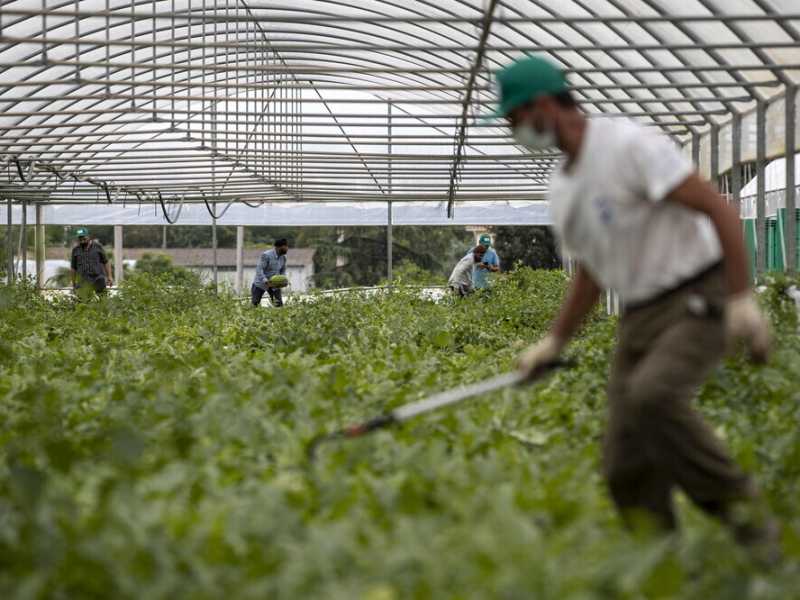 Come funziona il business del biodinamico. Il caso di Demeter