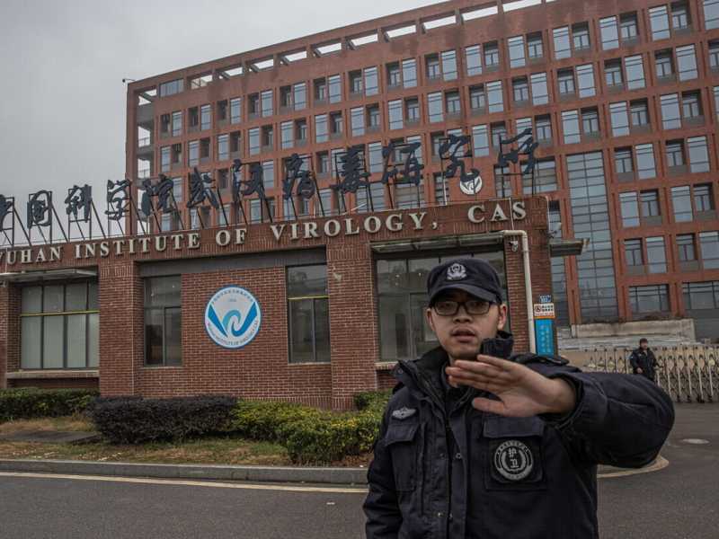 Il centro di virologia di Wuhan (Ansa)<br />&nbsp;<br />