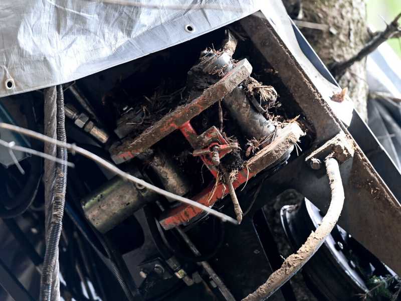La tragedia del Mottarone. Avidità è un movente di reato