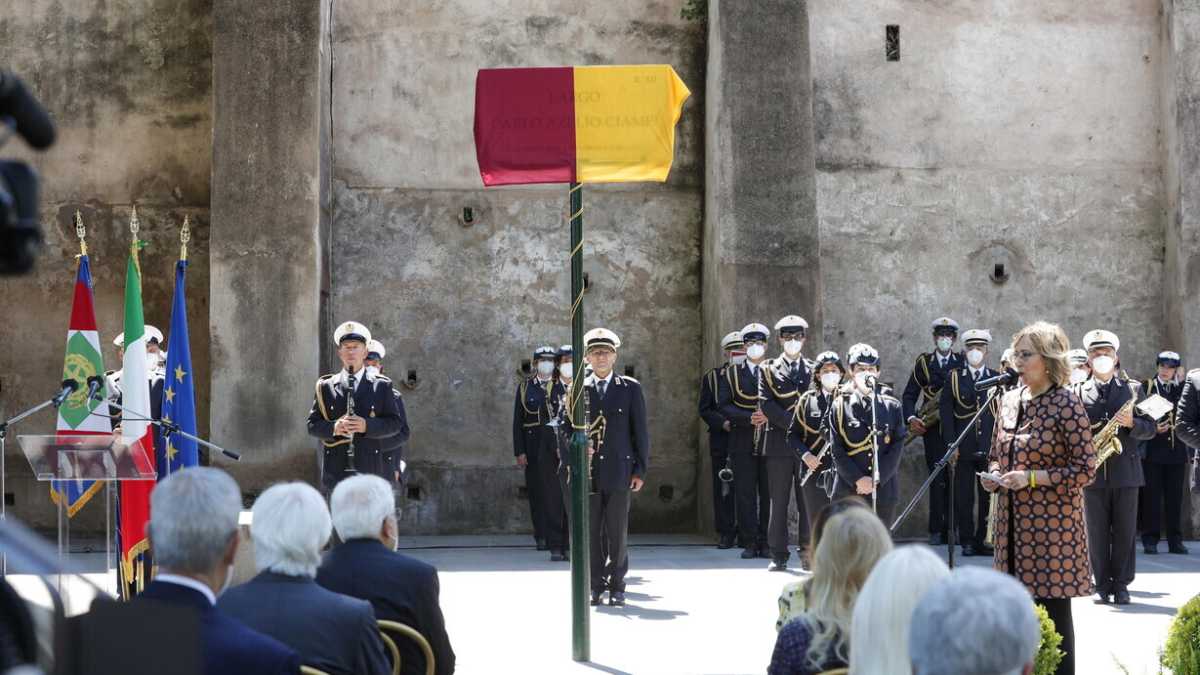 Immagine di Grillini fissati